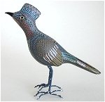Roadrunner Baby